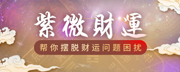紫微财运测算